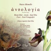 “Antologia” di Nuzzo Monello: recensione di Paolino Uccello.